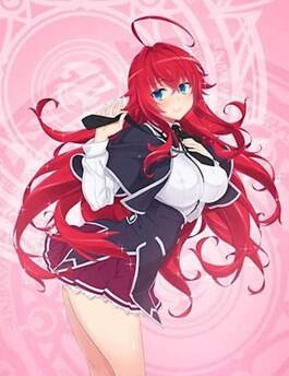 Обложка книги High School DxD: Макото