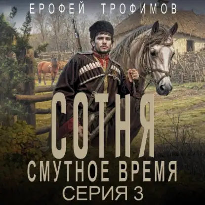 Обложка книги Сотня. Смутное время. Серия 3