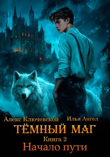 Обложка книги Тёмный маг. Книга 2. Начало пути