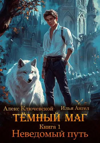 Обложка книги Тёмный маг. Книга 1. Неведомый путь