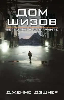 Обложка книги Дом шизов