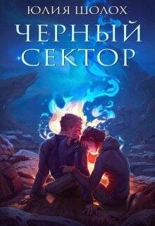Обложка книги Чёрный сектор