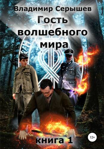 Обложка книги Гость волшебного мира. Книга 1
