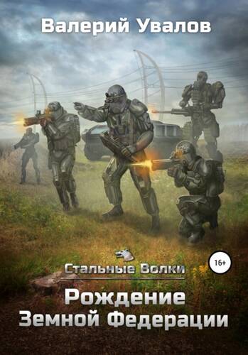 Обложка книги Стальные Волки. Рождение Земной Федерации