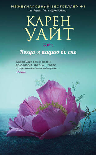 Обложка книги Когда я падаю во сне