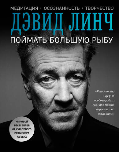 Обложка книги Поймать большую рыбу. Медитация, осознанность, творчество