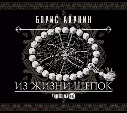 Обложка книги Из жизни щепок
