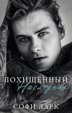 Обложка книги Похищенный наследник