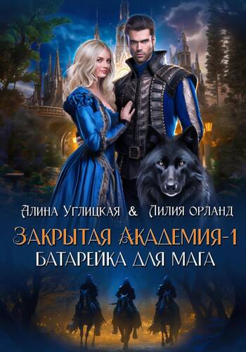 Обложка книги Закрытая академия. Батарейка для мага