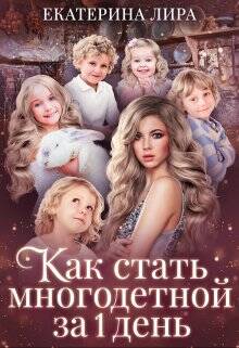 Обложка книги Как стать многодетной за один день