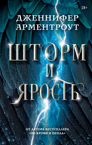 Обложка книги Шторм и ярость