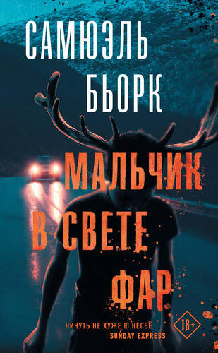 Обложка книги Мальчик в свете фар