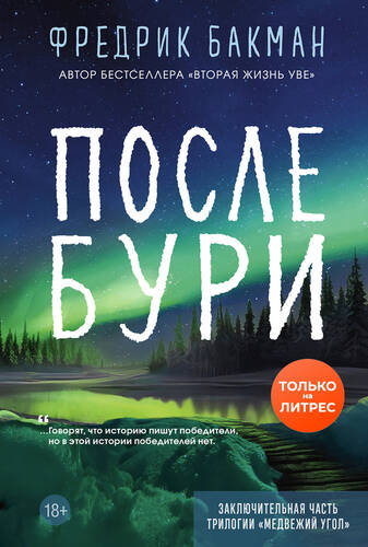Обложка книги После бури
