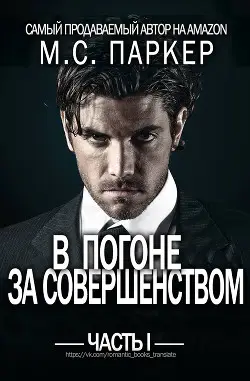 Обложка книги В погоне за совершенством. Часть 1