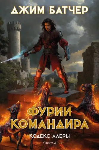 Обложка книги Фурии командира